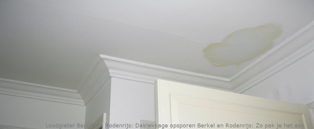 Daklekkage opsporen Berkel en Rodenrijs: Zo pak je het aan