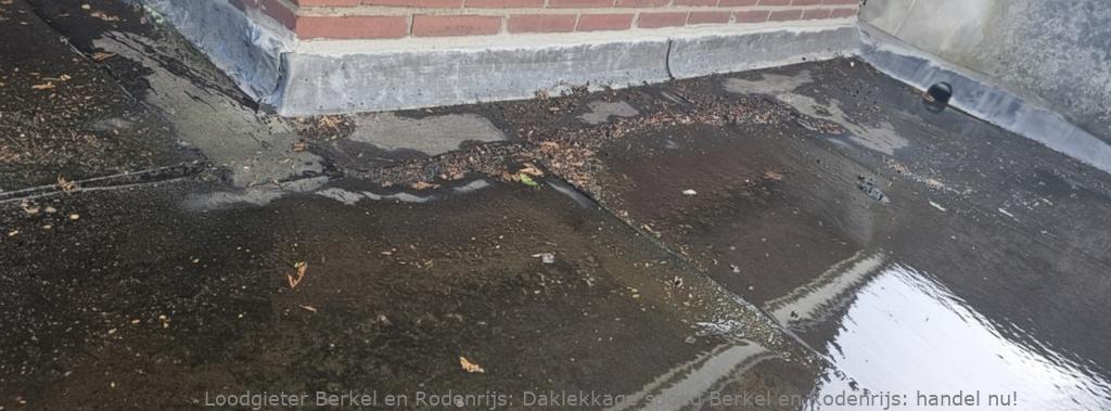 Daklekkage spoed Berkel en Rodenrijs: handel nu!