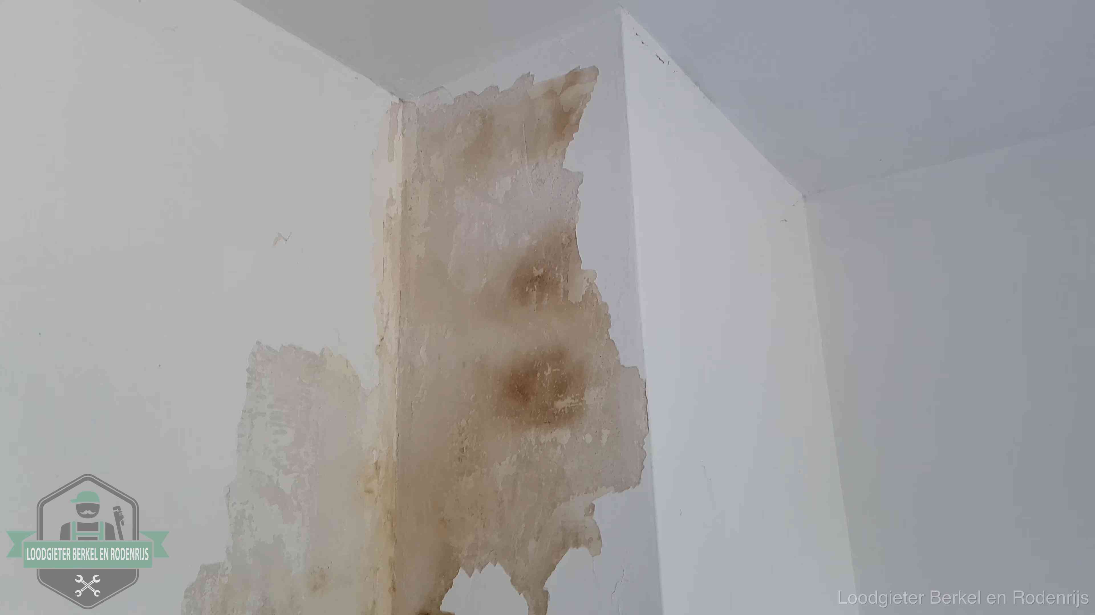 Bruine vochtkringen en afbladderend stucwerk op een binnenmuur in Berkel en Rodenrijs, een eerste teken van daklekkage