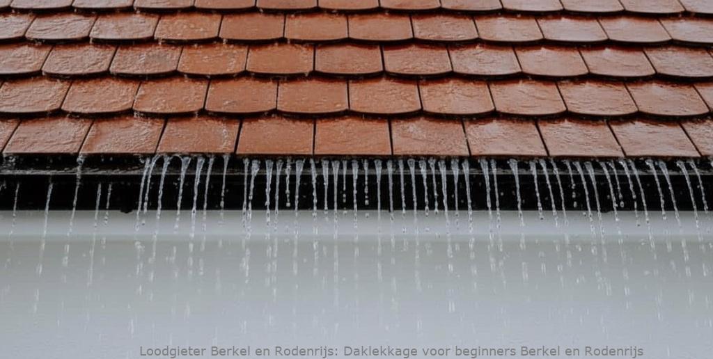 Daklekkage voor beginners Berkel en Rodenrijs