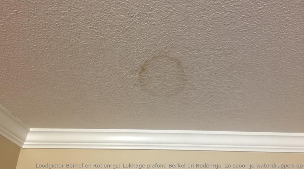 Lekkage plafond Berkel en Rodenrijs: zo spoor je waterdruppels op