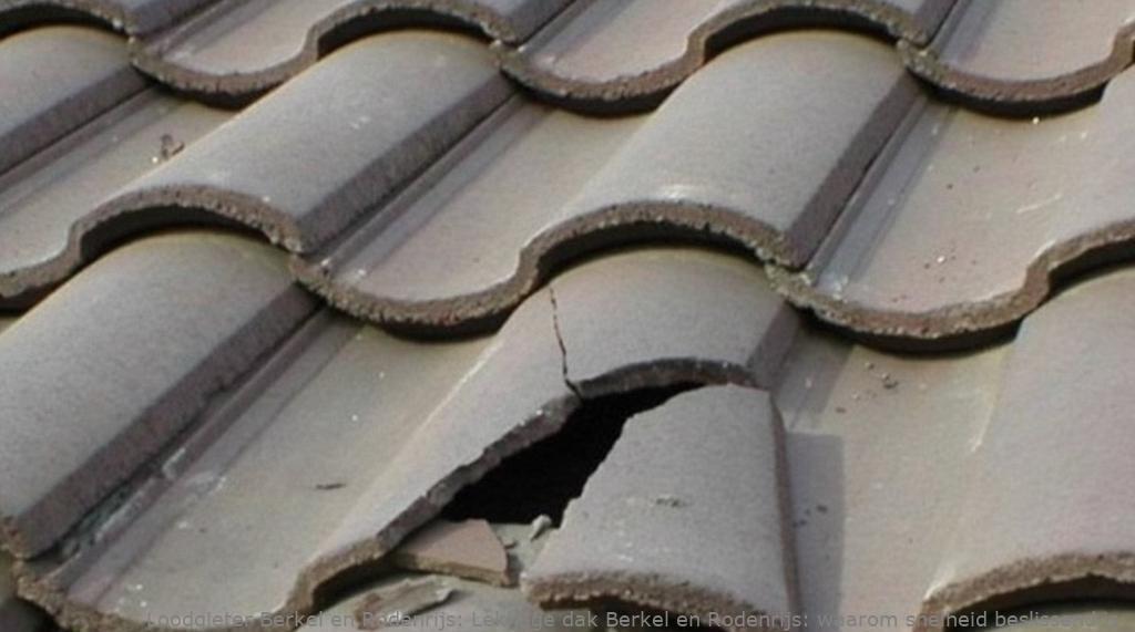 Lekkage dak Berkel en Rodenrijs: waarom snelheid beslissend is