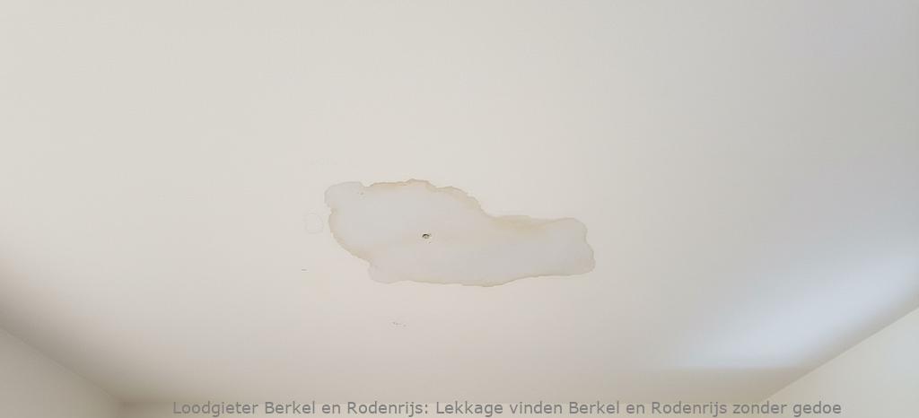 Lekkage vinden Berkel en Rodenrijs zonder gedoe