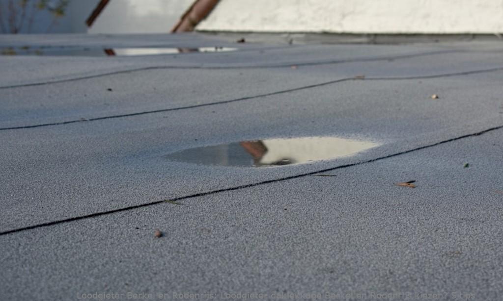 Loodgieter daklekkage Berkel en Rodenrijs kiezen? 5 tips