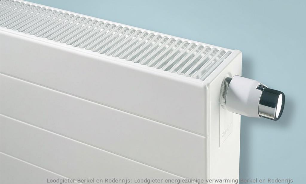 Loodgieter energiezuinige verwarming Berkel en Rodenrijs