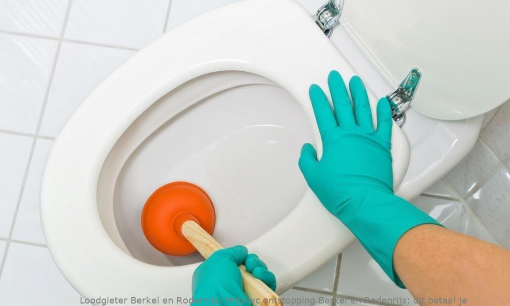 Prijs wc ontstopping Berkel en Rodenrijs: dit betaal je