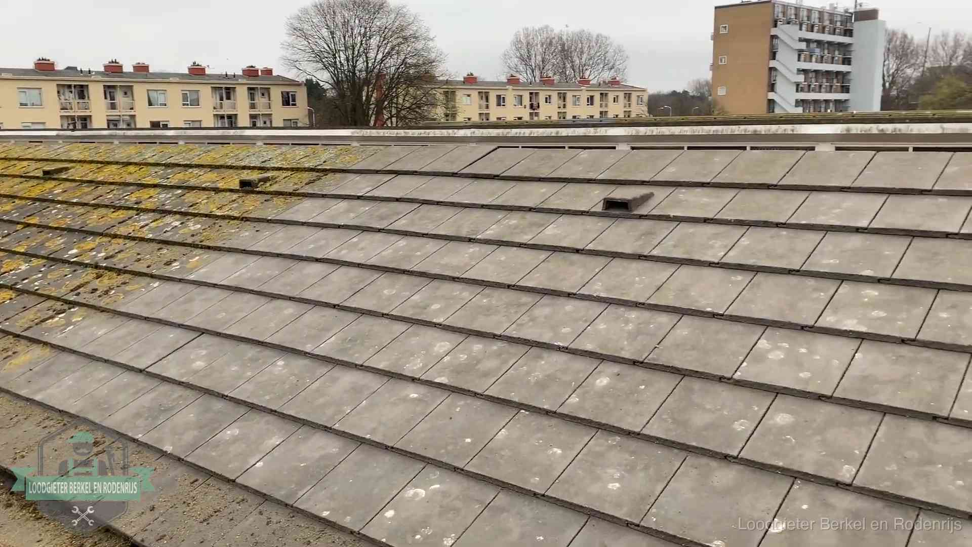 Schuin dak met betonpannen vol mos in Berkel en Rodenrijs, een risico op lekkage bij de pannen