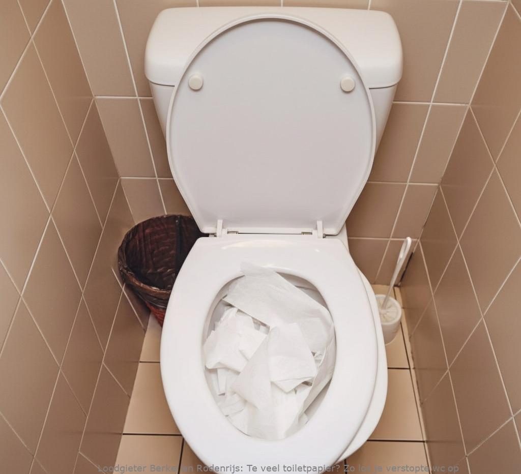 Te veel toiletpapier? Zo los je verstopte wc op