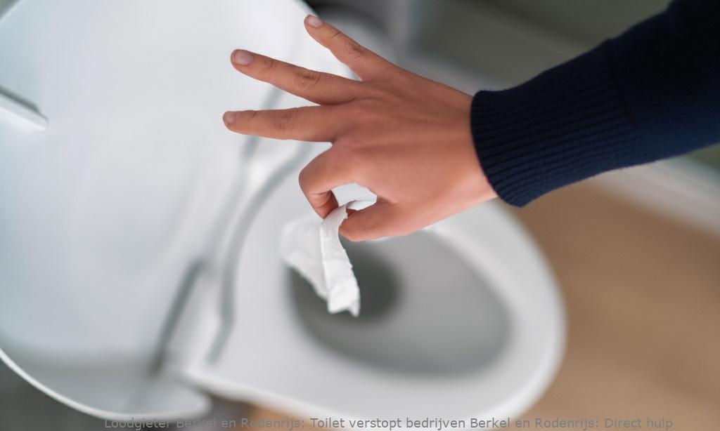 Toilet verstopt bedrijven Berkel en Rodenrijs: Direct hulp