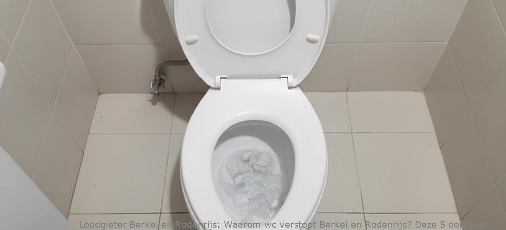 Waarom wc verstopt Berkel en Rodenrijs? Deze 5 oorzaken