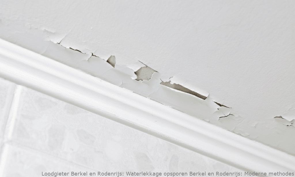 Waterlekkage opsporen Berkel en Rodenrijs: Moderne methodes