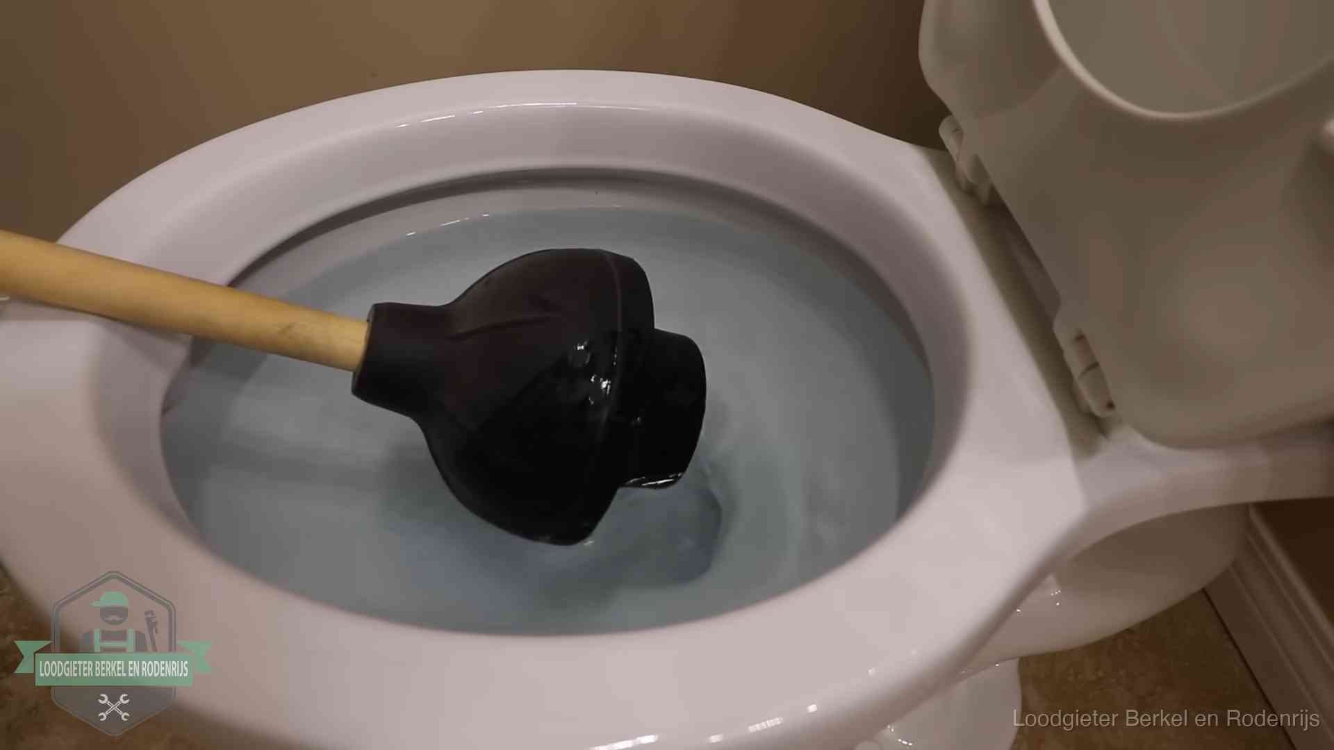 Wc vol water in Berkel en Rodenrijs Plopper in een wc-pot die vol water staat in Berkel en Rodenrijs